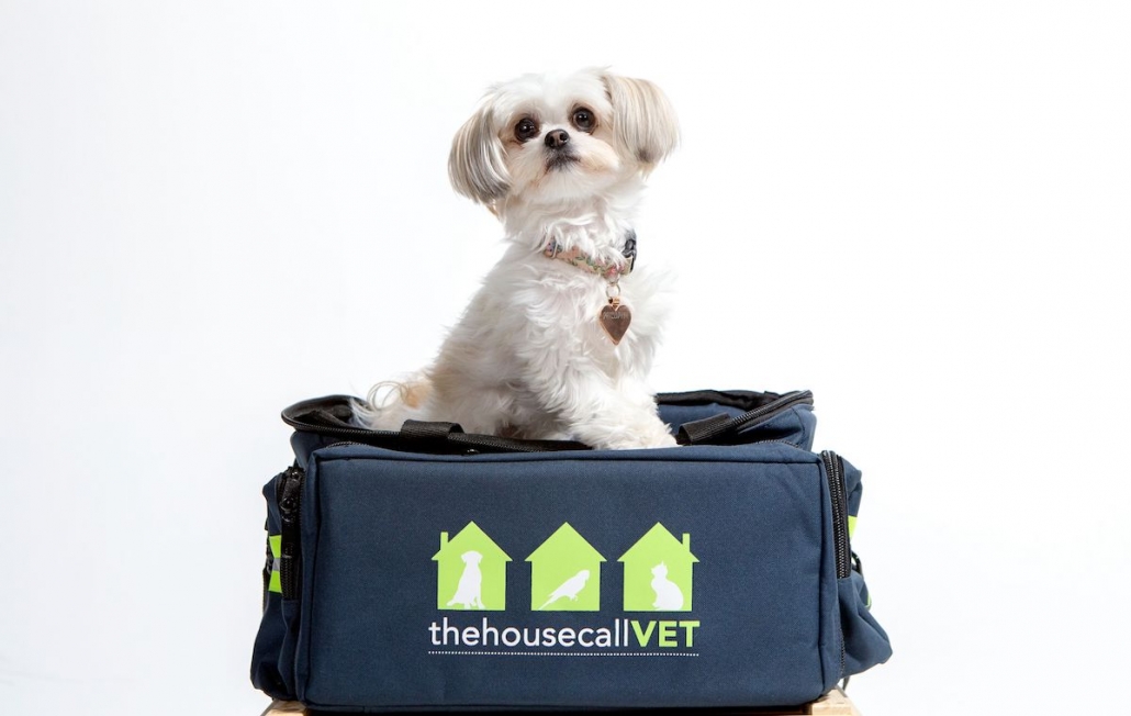 emergency vet brisbane