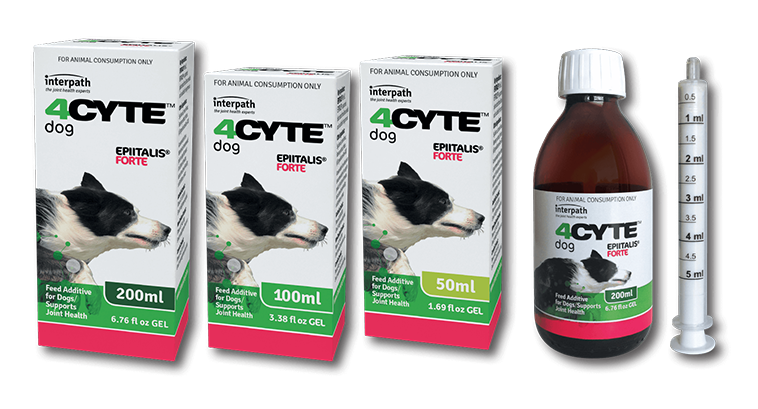 arthritis in pets - 4cyte supplement gel