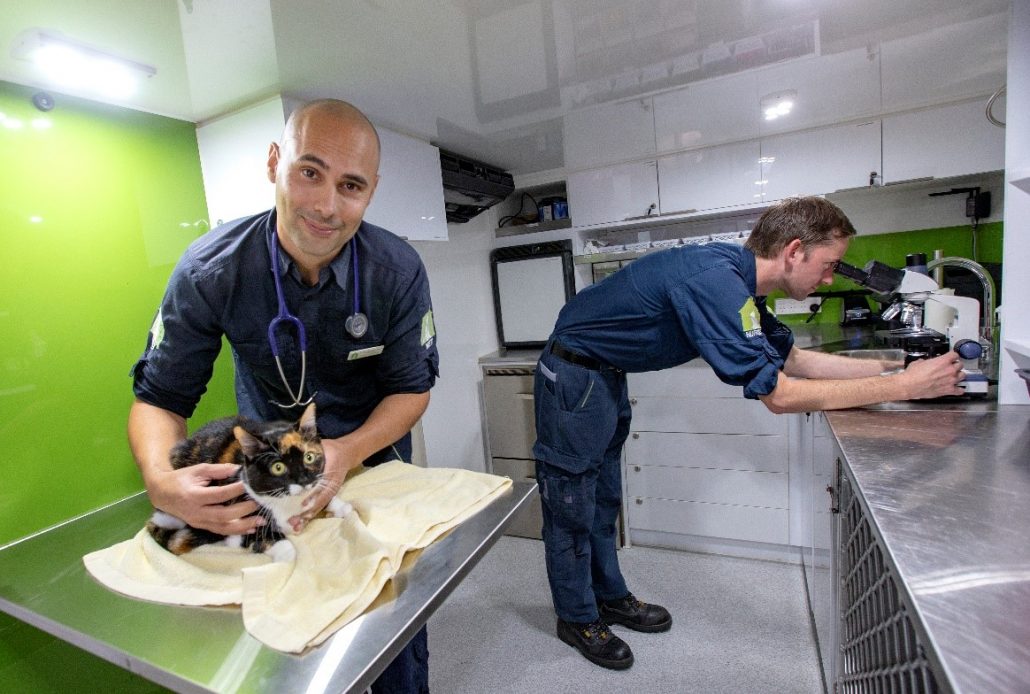pet vaccinations - vet staff and cat