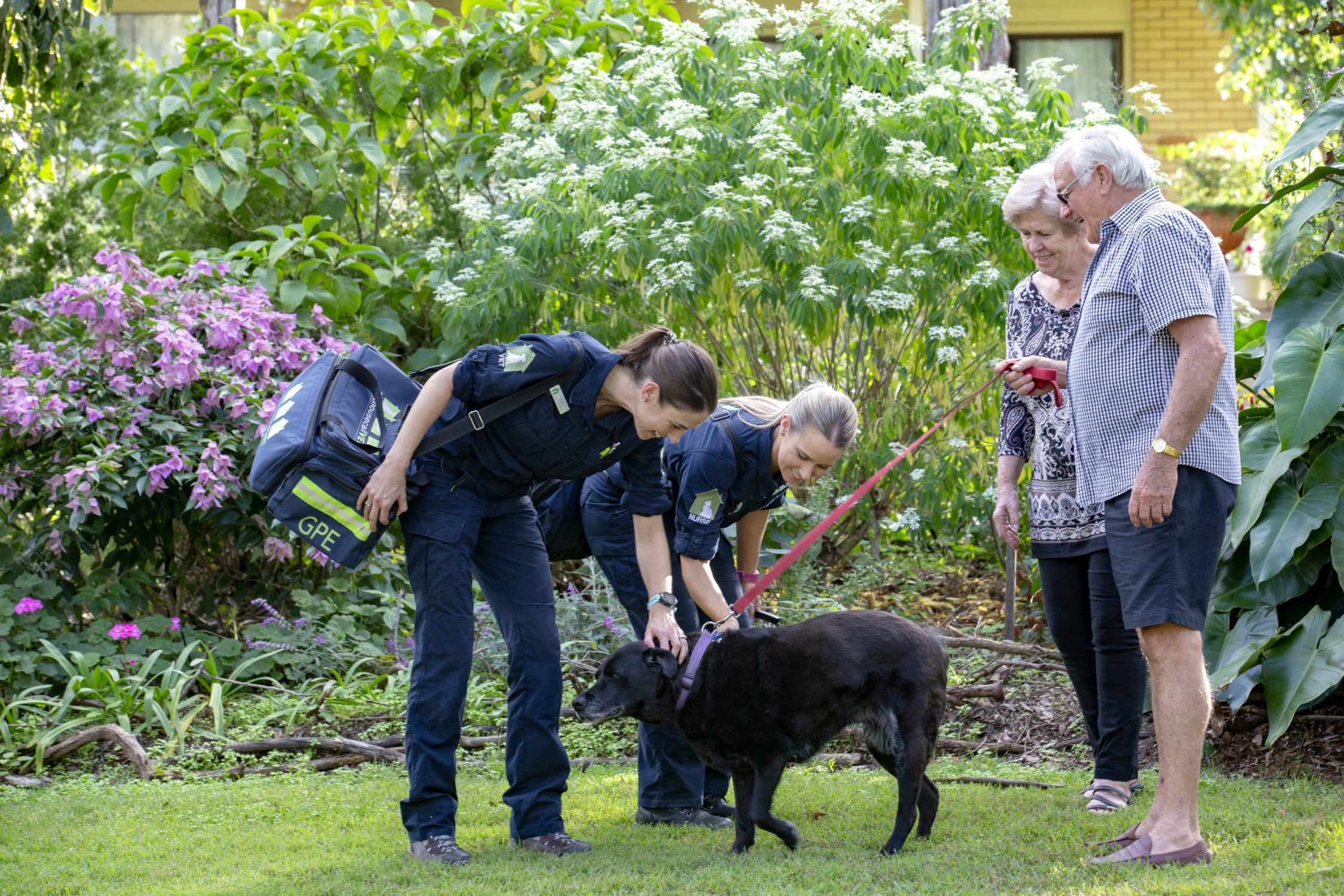 Vets Open On A Sunday - vet and dog on grass