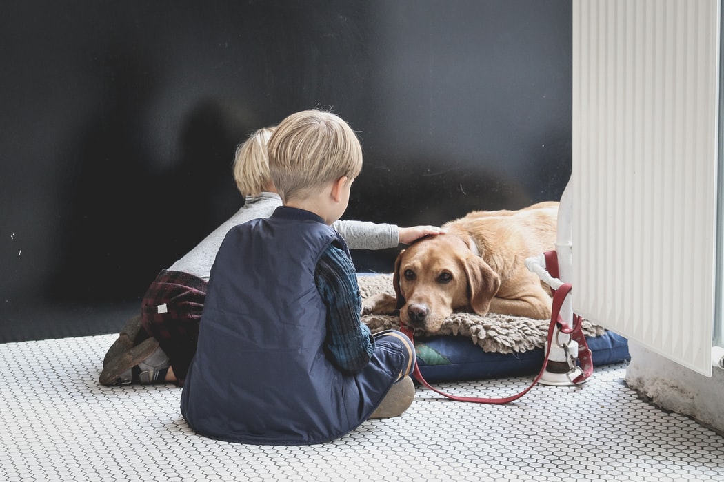 Staying Calm in a Pet Emergency - children and pet dog sitting on the floot
