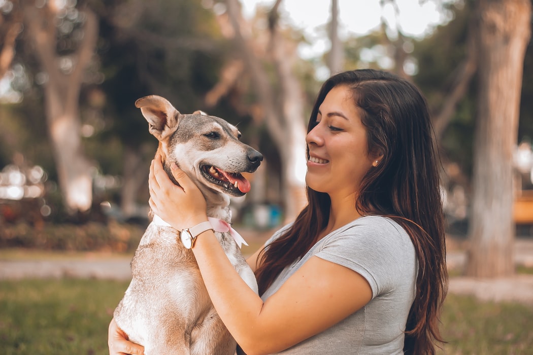 in home euthanasia - owner and happy dog