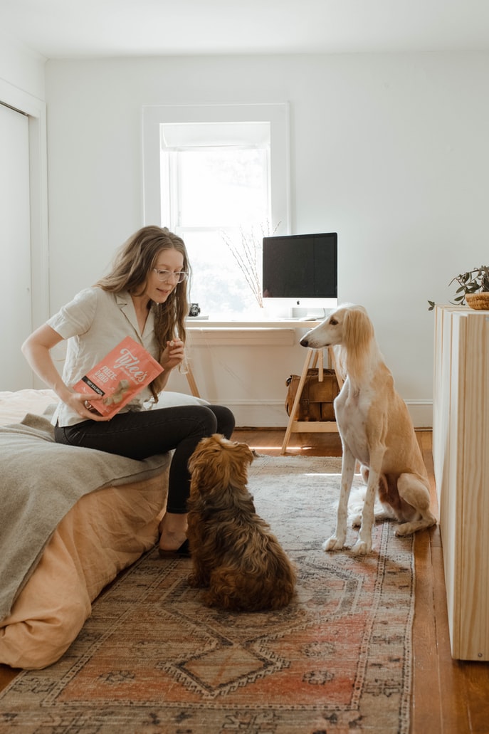 arthritis in dog - woman with treats and dogs waiting