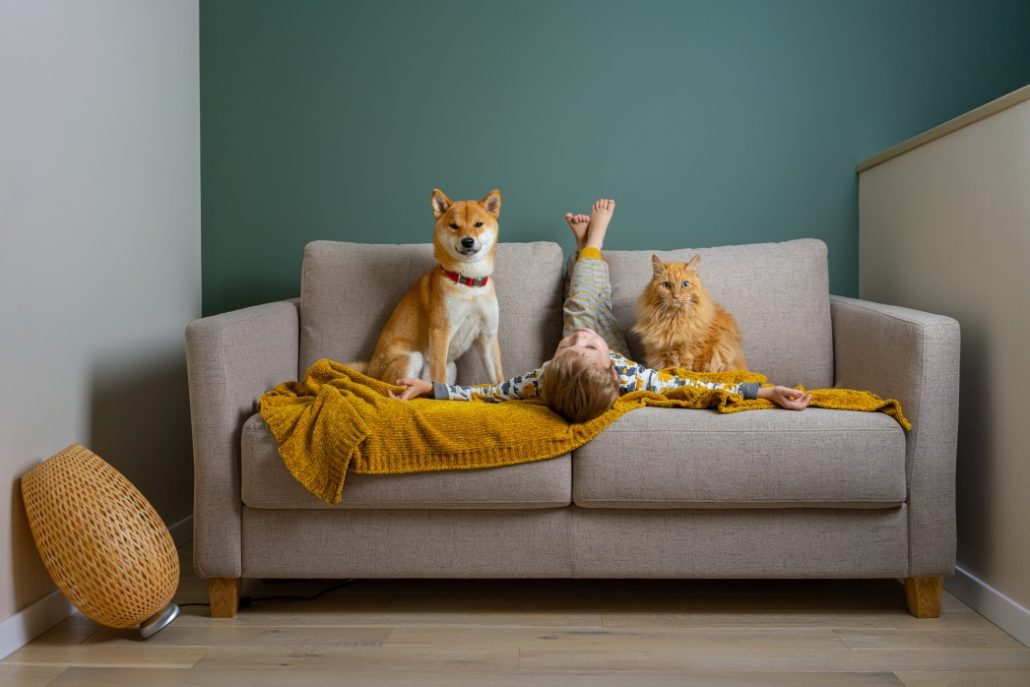 Keeping Your Senior Dog Active - youn boy with dog and cat on couch