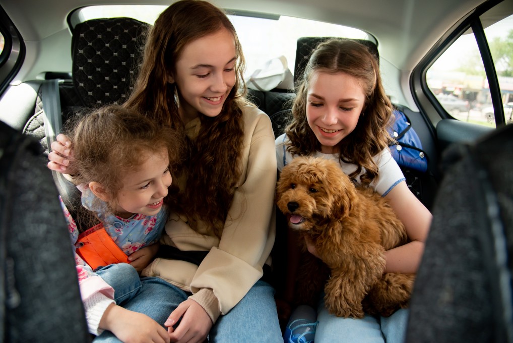 Your Pet’s First Vet Visit - dog and family in car