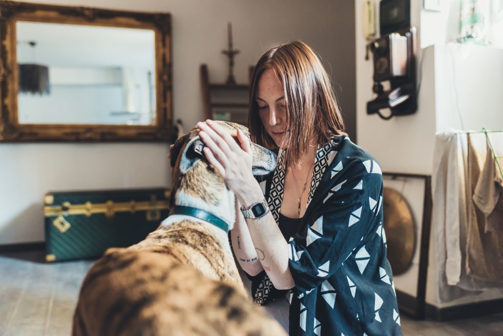 arthritis in dog - Young woman petting her dog in apartment