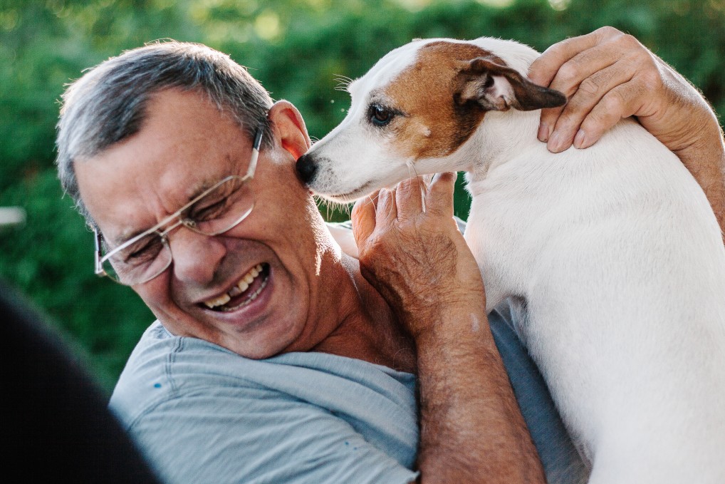 Celebrating Valentine's Day With Your Pet - dog licking mas face