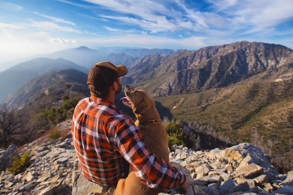 Building A Trusting Relationship with Your Pet - man and dog on mountain