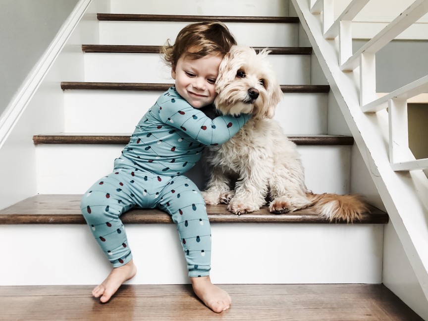 Building A Trusting Relationship with Your Pet - small child hugging white dog while sitting on stairs