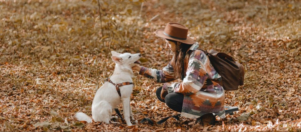 Building A Trusting Relationship with Your Pet - Stylish woman caressing adorable white dog in sunny autumn woods