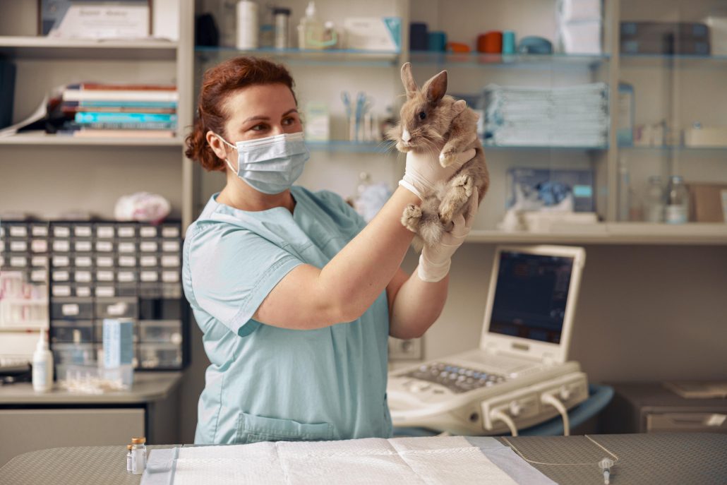 Why You Should Stay With One Vet - woman holding rabbit