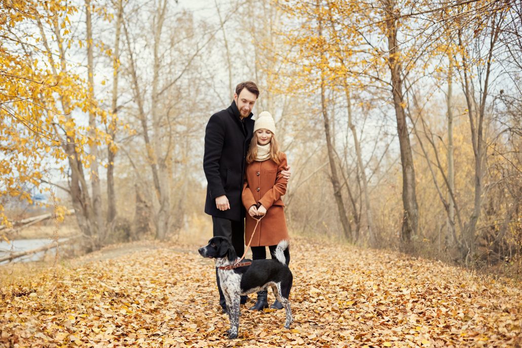 Celebrating Valentine's Day With Your Pet - Couple in love on Valentine's day walking in the Park with the dog. The love and tenderness between a man and a woman. Valentine's day is a holiday of all lovers