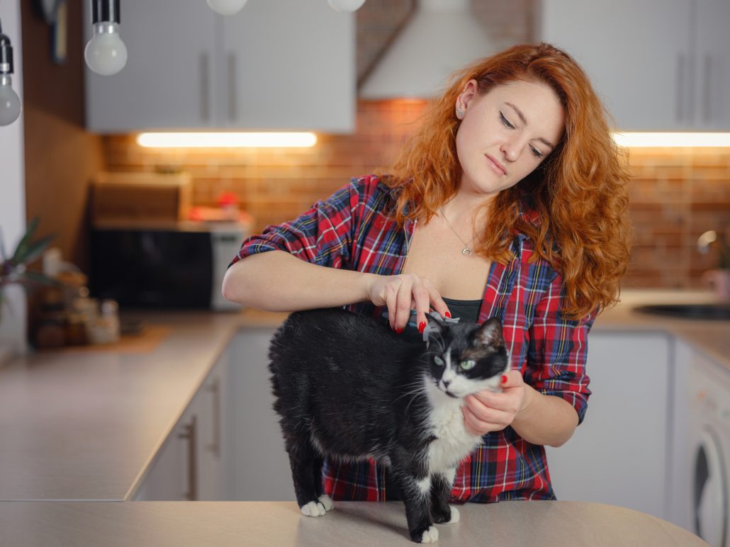 How Often Should You Groom Your Cat? - woman cat grooming at home