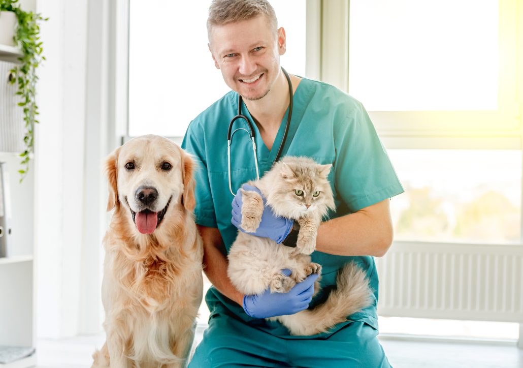 Your Pet’s First Vet Visit - Smiling vet with golden retriever dog and fluffy cat in veterinarian clinic