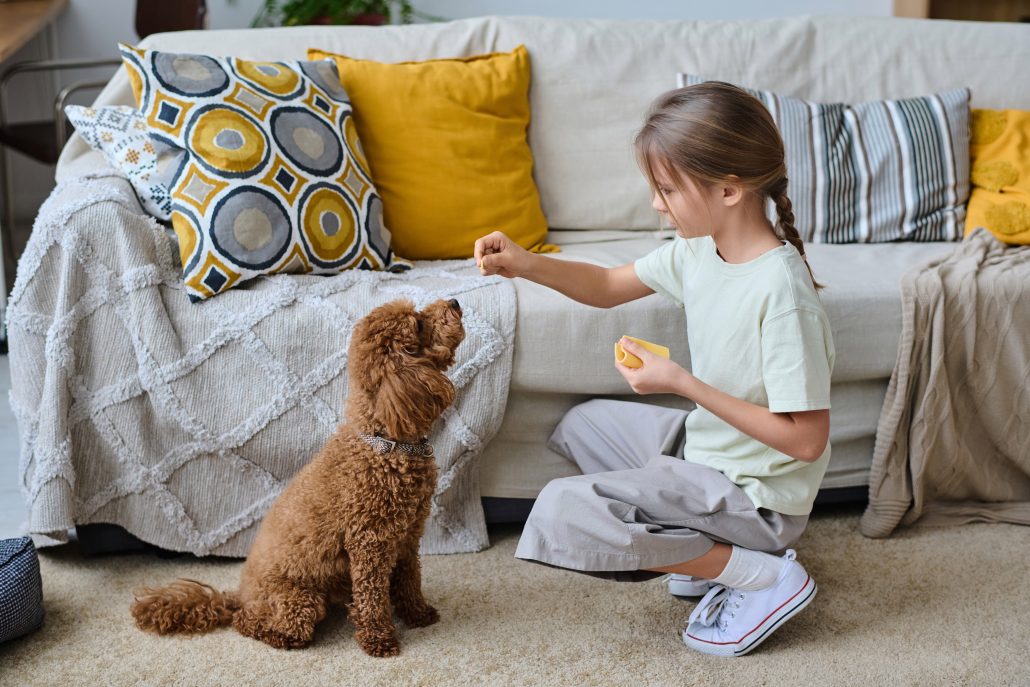 Pet-Proofing Your Home - Little girl training her pet at home