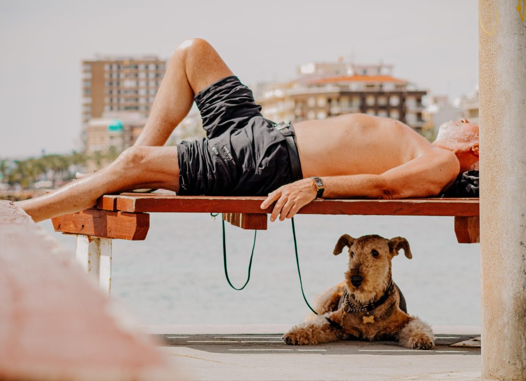 owner sleeping on a bench with their dog on a leash