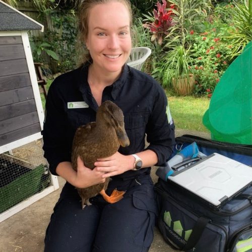 Affordable Vet Care - THCV staff with brown duck