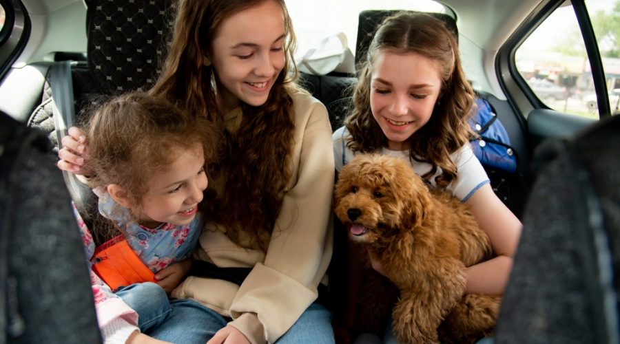 Your Pet’s First Vet Visit - dog and family in car