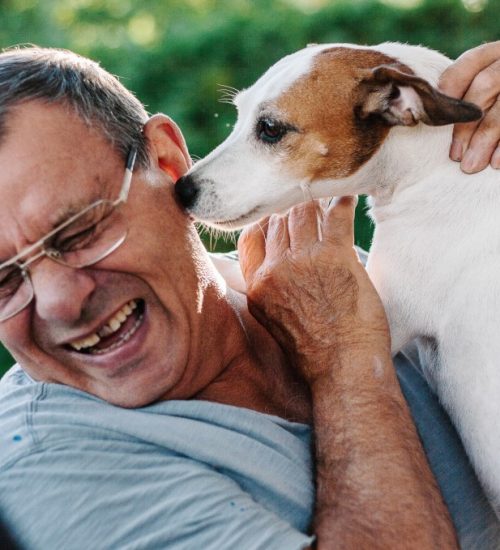 The House Call Vet – Celebrating Valentine’s Day With Your Pet Celebrating Valentine's Day With Your Pet - dog licking mas face