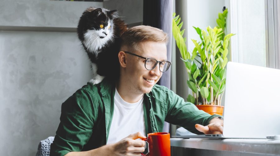 ready for a pet - cat sitting on a mans shoulders while on a laptrop