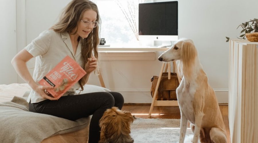 arthritis in dog - woman with treats and dogs waiting