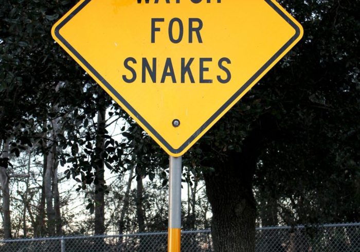 watch-out-for-snakes-warning-sign-in-texas-2021-08-30-04-44-36-utc