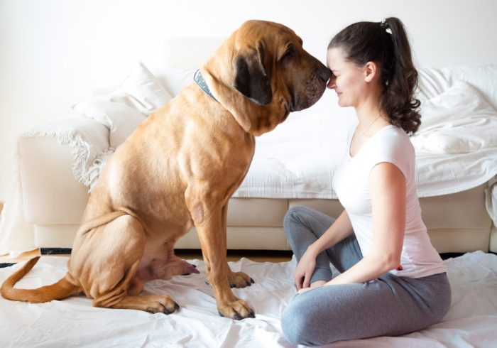 Building A Trusting Relationship with Your Pet - woman and large dog